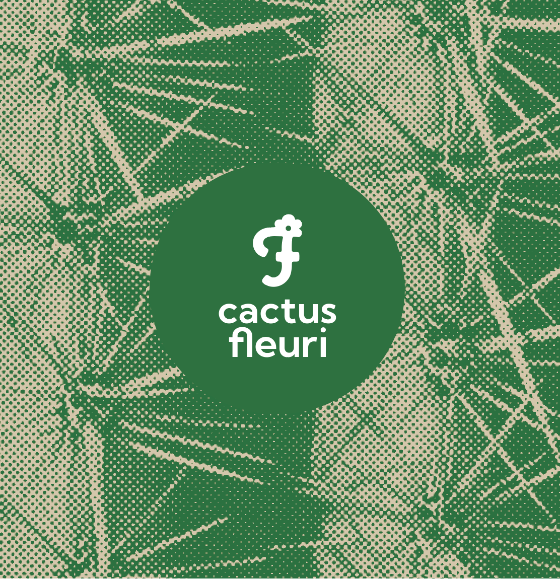 Le cactus fleuri